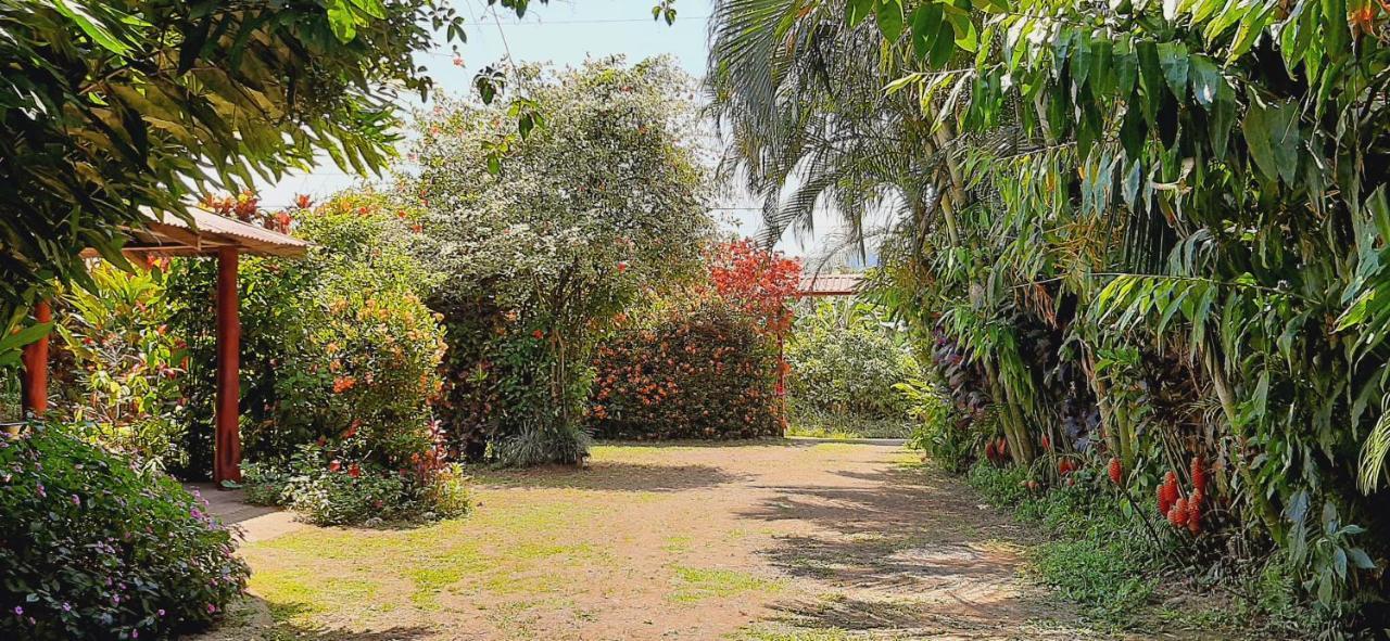 Jardin Entre Montanas Bed & Breakfast Bijagua Exterior photo